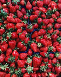 Full frame shot of strawberries for sale at market