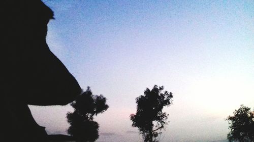 Low angle view of silhouette trees against clear sky