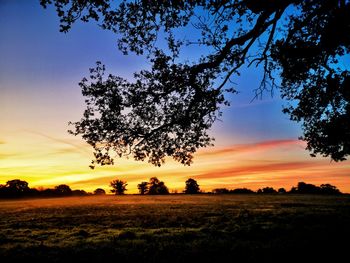 Silhouette tree on field against sky at sunset