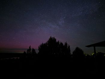 Silhouette trees against sky at night