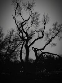 Silhouette bare tree against sky