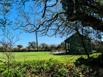 Scenic view of trees on field against sky