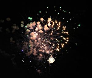 Low angle view of firework display at night