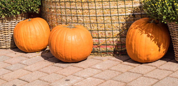 Close-up of pumpkin on stone wall during halloween