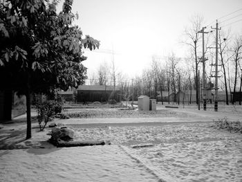 Empty road along trees