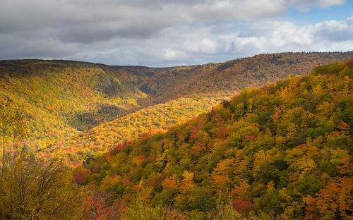 Scenic view of landscape against sky during autumn