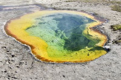 High angle view of yellow land