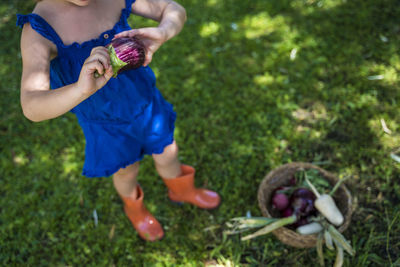 Boy holding mushrooms growing on field