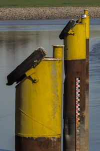 View of bird perching on wood