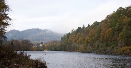 Scenic view of river by trees against sky