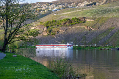 View at the city of bernkastel-kues at river moselle and mountains with vineyards