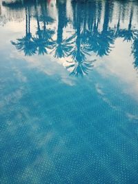 Reflection of palm trees in swimming pool