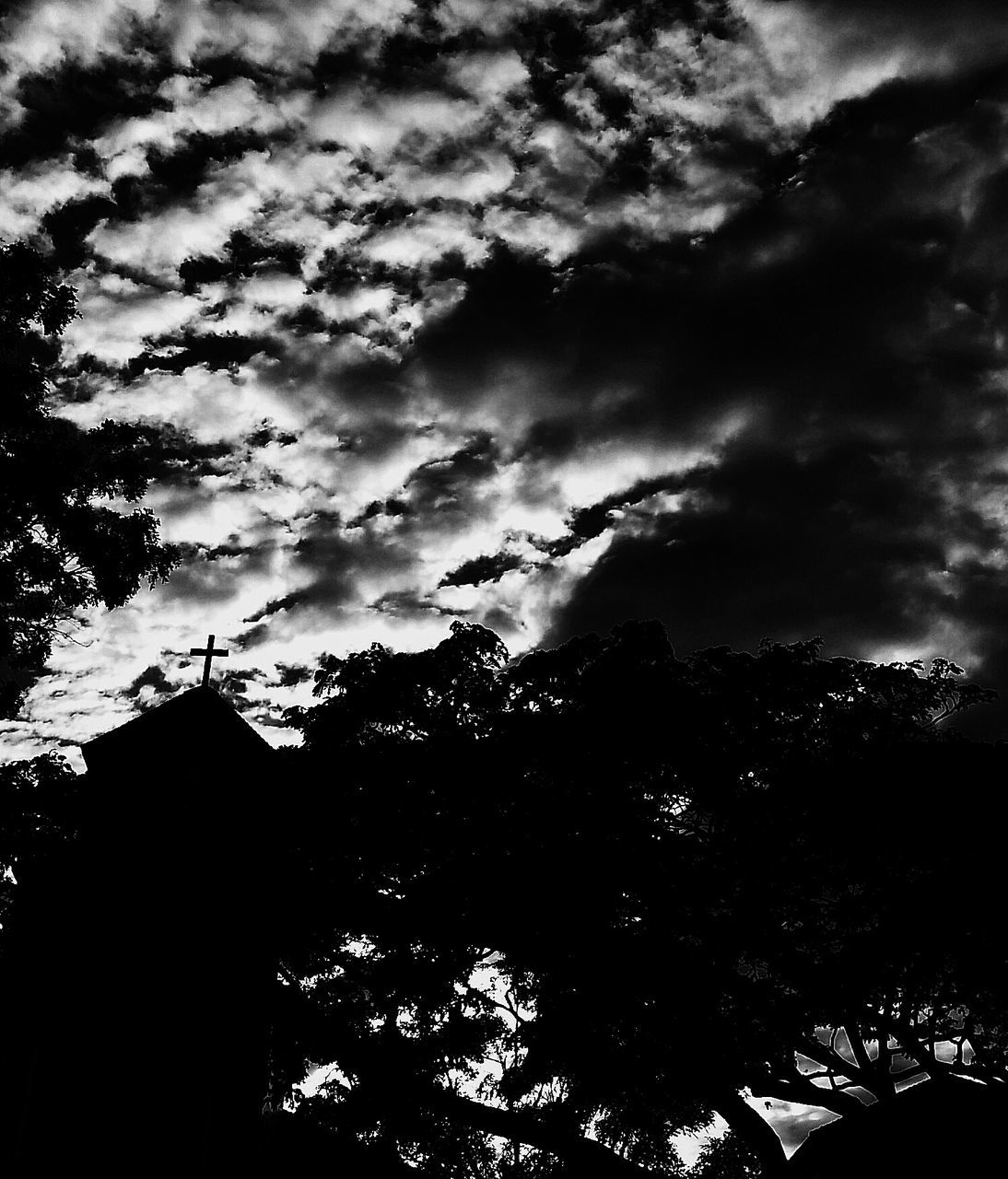 low angle view, sky, tree, building exterior, architecture, built structure, silhouette, cloud - sky, cloudy, high section, cloud, growth, nature, branch, outdoors, no people, dusk, house, building, city