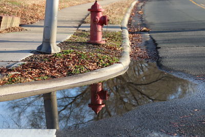 Street light on road by railing in city