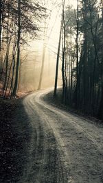 Road through forest during sunset