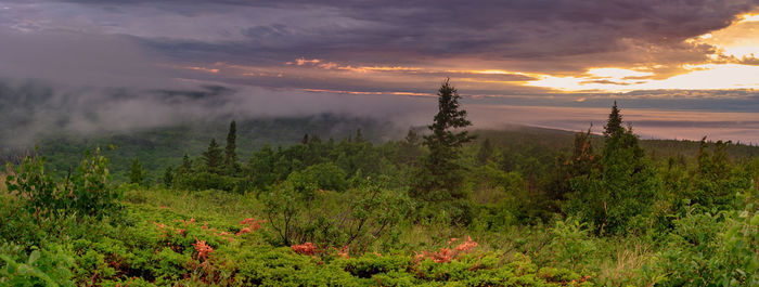 Scenic view of landscape against sky during sunset