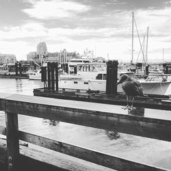 People sitting on pier