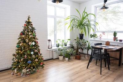 Potted plant on table