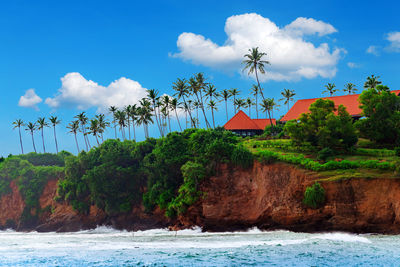 Tropical island, house cliff among palm trees. tropical life. sri lanka landscape. 