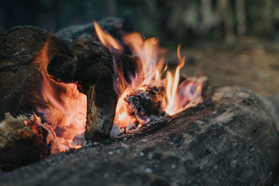 Close-up of bonfire