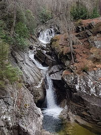 Scenic view of waterfall in forest