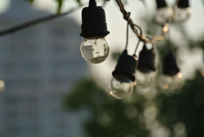 Light bulb hang on wire decoration outdoor background daylight
