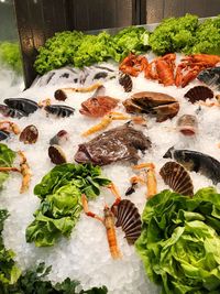 Close-up of seafood and vegetables on ice