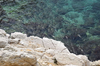 High angle view of rocks in sea