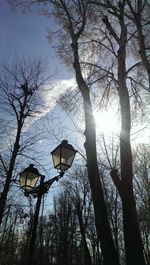 Low angle view of bare tree against sky