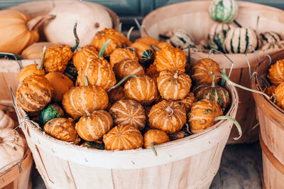 Thanksgiving and halloween holiday preparations. red, yellow, green pumpkins in baskets on farm