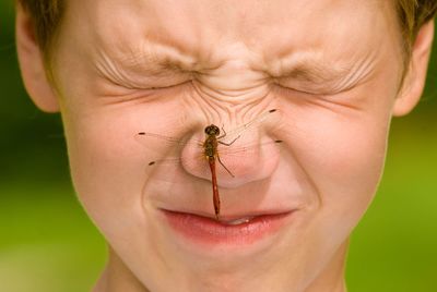 Close-up of boy with insect