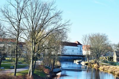 Bare tree by river and buildings against sky