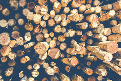 Cross-section of a log in a pile of wood