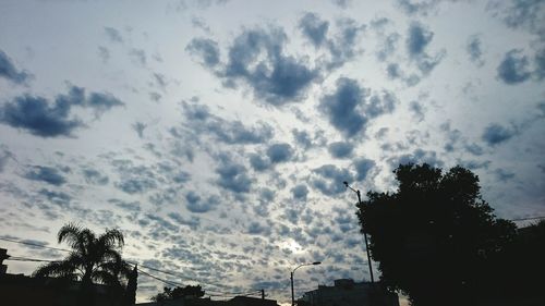 Low angle view of silhouette palm trees against sky