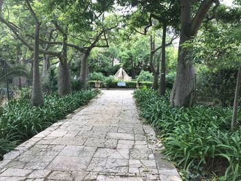 Rear view of man sitting on footpath in park