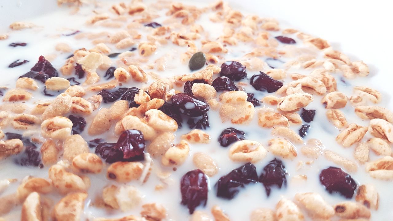 CLOSE-UP OF FOOD ON WHITE