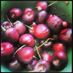 Close-up of cherries on tree