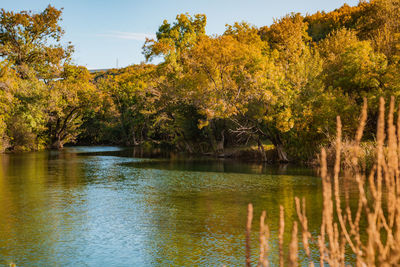 Trees by lake against sky during autumn