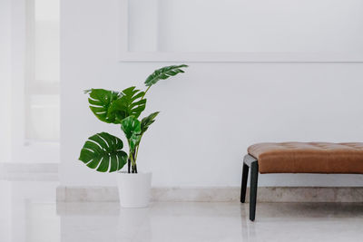 Potted plant on tiled floor by seat against wall at home