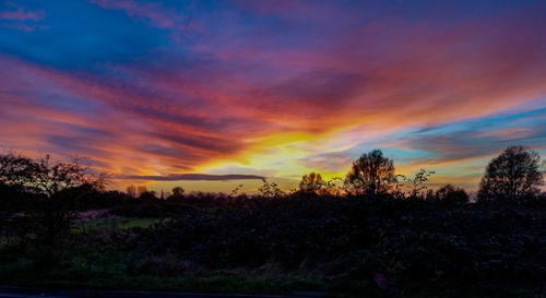 Silhouette trees against dramatic sky during sunset