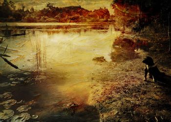 Scenic view of river