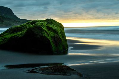 Moss on rock at beach against cloudy sky