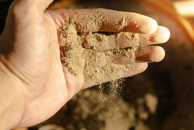 Close-up of person holding ice cream