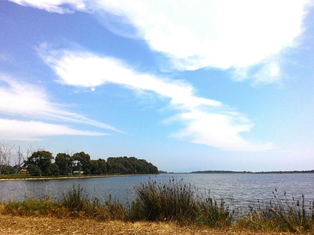 water, tranquil scene, sky, tranquility, scenics, lake, grass, beauty in nature, nature, lakeshore, cloud - sky, reflection, idyllic, cloud, plant, blue, calm, tree, river, landscape