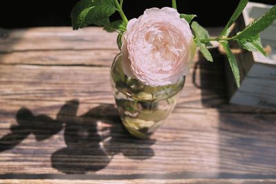 Close-up of white flower on table