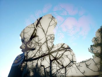 Low angle view of bare trees against blue sky