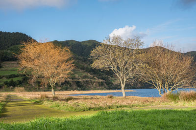 Scenic view of field against sky