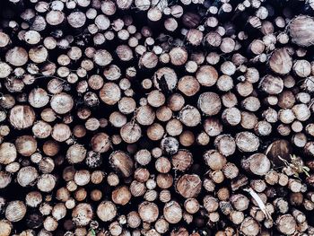 Full frame of firewood log
