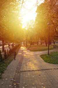Footpath amidst trees in park during sunset