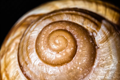 High angle view of cappuccino